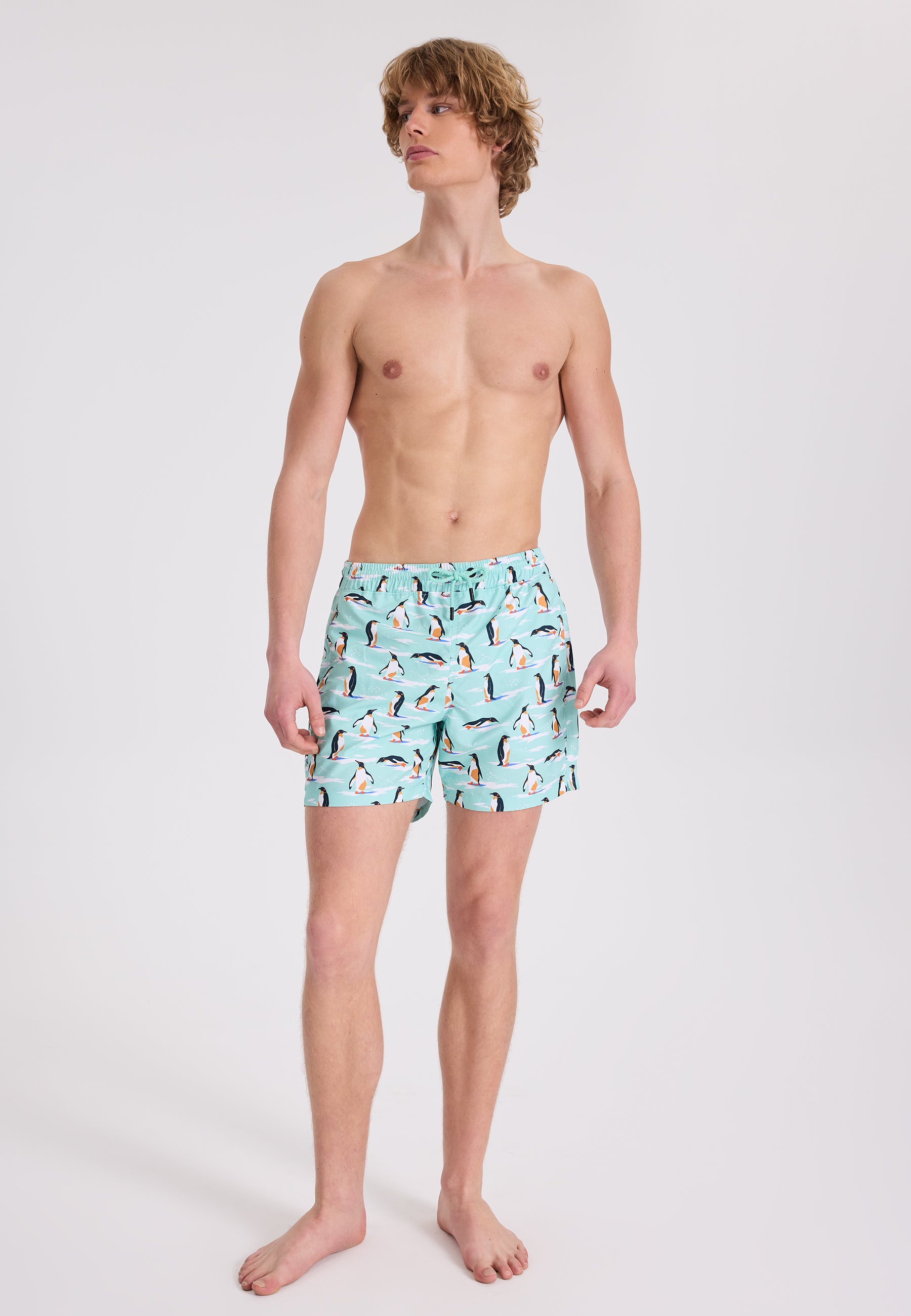 WMANIMAL PENGUIN ZWEMSHORTS in Mint AOP