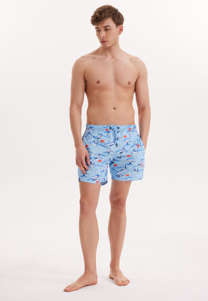 STORK SWIM SHORTS in Blue AOP