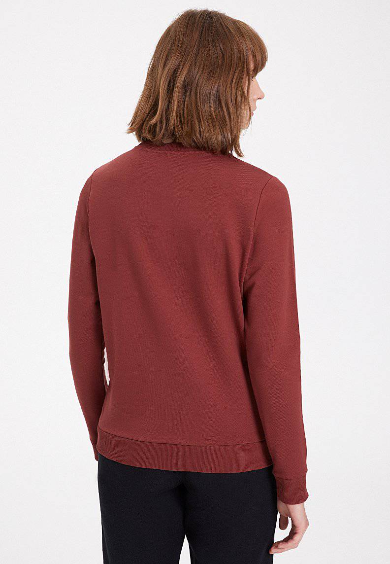 SCHILDKRÖTENSCHWEISS