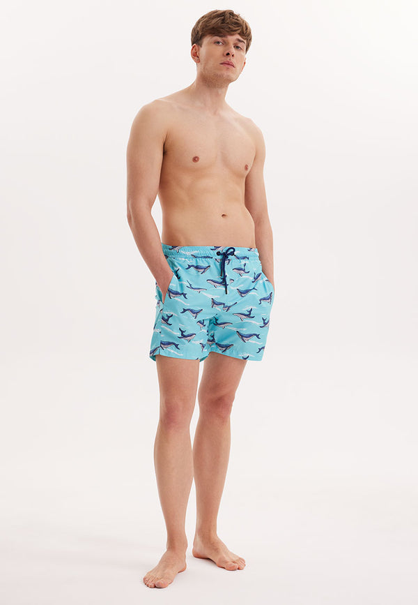 WMANIMAL SHARK SWIM SHORTS in Turquoise AOP