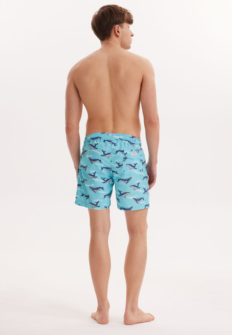 WMANIMAL SHARK SWIM SHORTS in Turquoise AOP