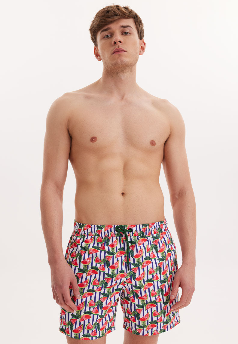 WMSTRIPE MELON SWIM SHORTS in Green AOP