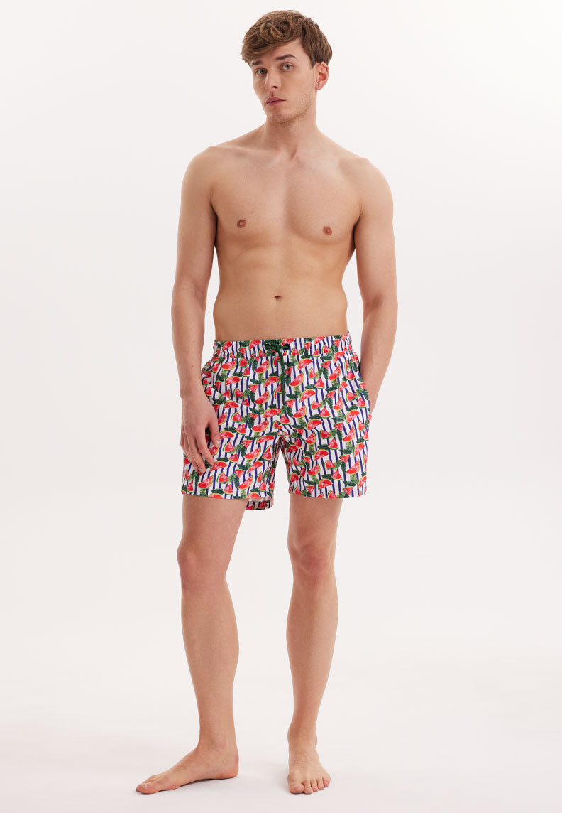 WMSTRIPE MELON SWIM SHORTS in Green AOP