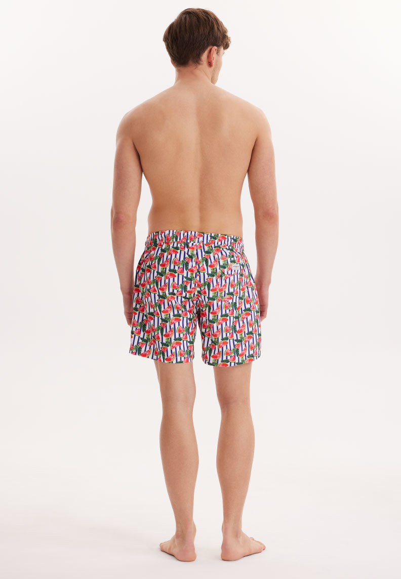 WMSTRIPE MELON SWIM SHORTS in Green AOP