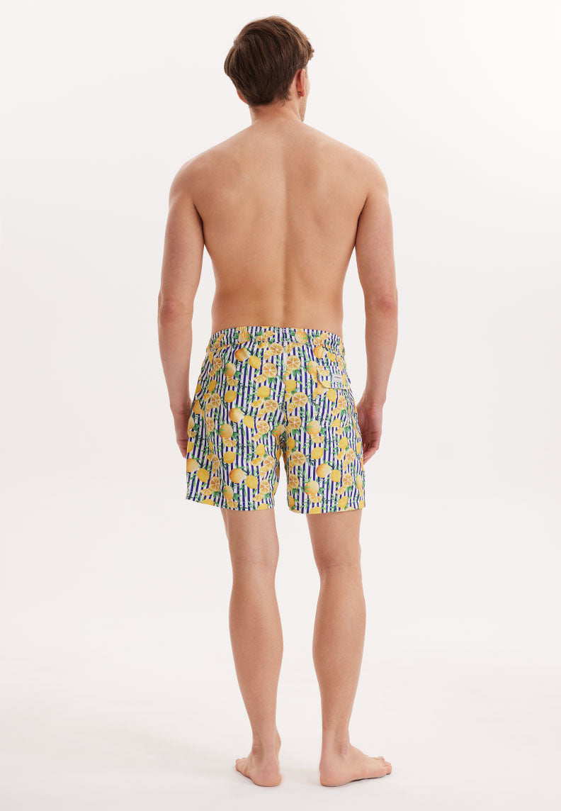 WMSTRIPE LIME SWIM SHORTS in Yellow AOP