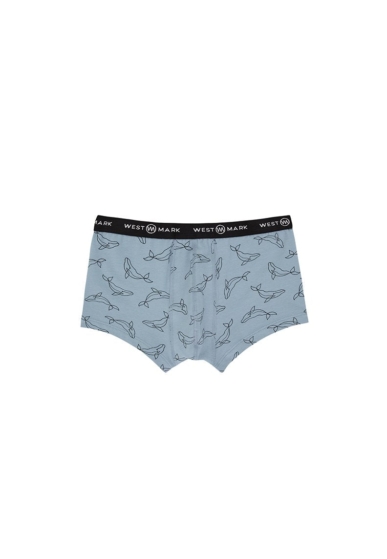 DOLPHIN TRUNK 3-PACK