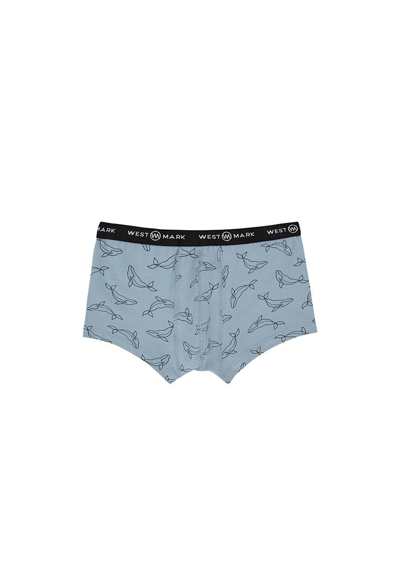 DOLPHIN TRUNK 3-PACK