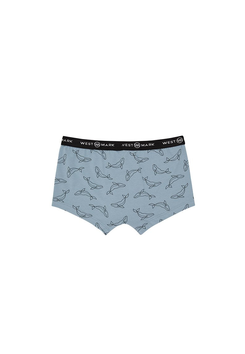 DOLPHIN TRUNK 3-PACK