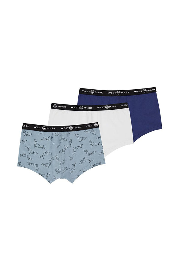 DOLPHIN TRUNK 3-PACK