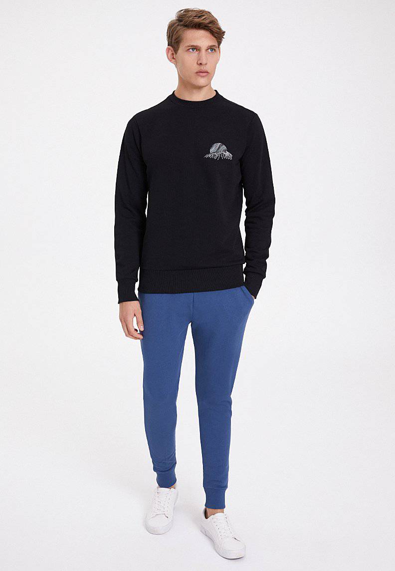 NORTHERN LIGHT SWEAT