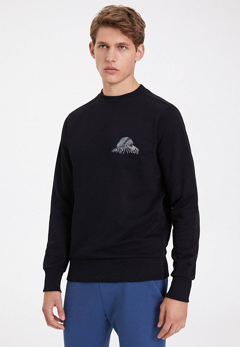 NORTHERN LIGHT SWEAT