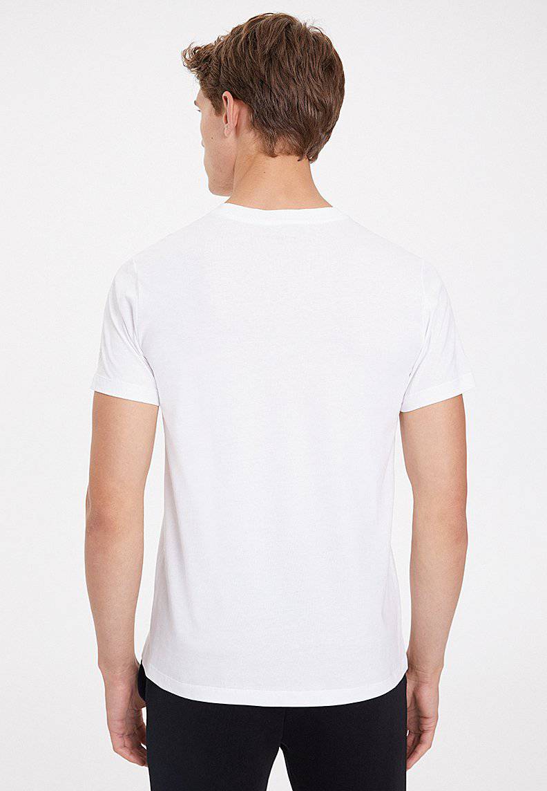 WHALE TEE