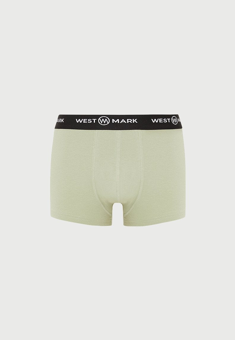 FOREST TRUNK 3-PACK