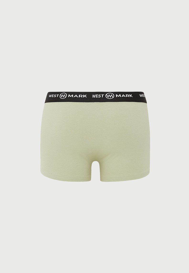 FOREST TRUNK 3-PACK