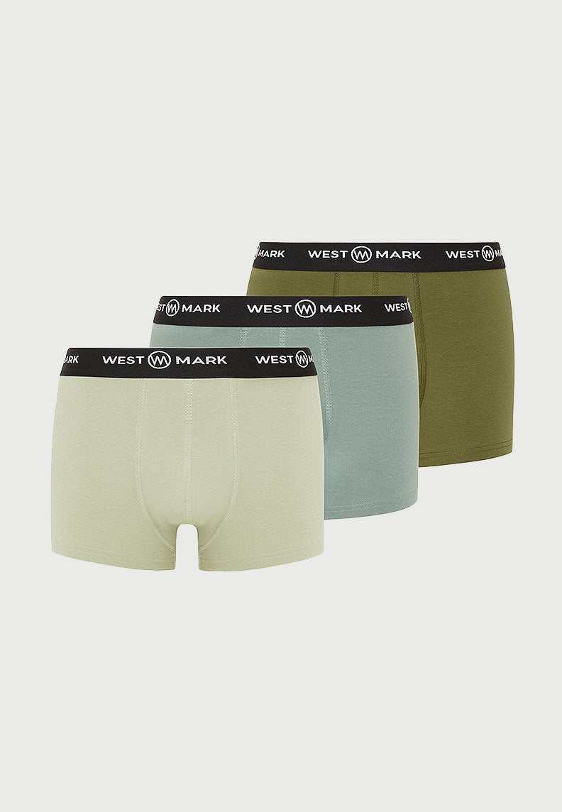FOREST TRUNK 3-PACK