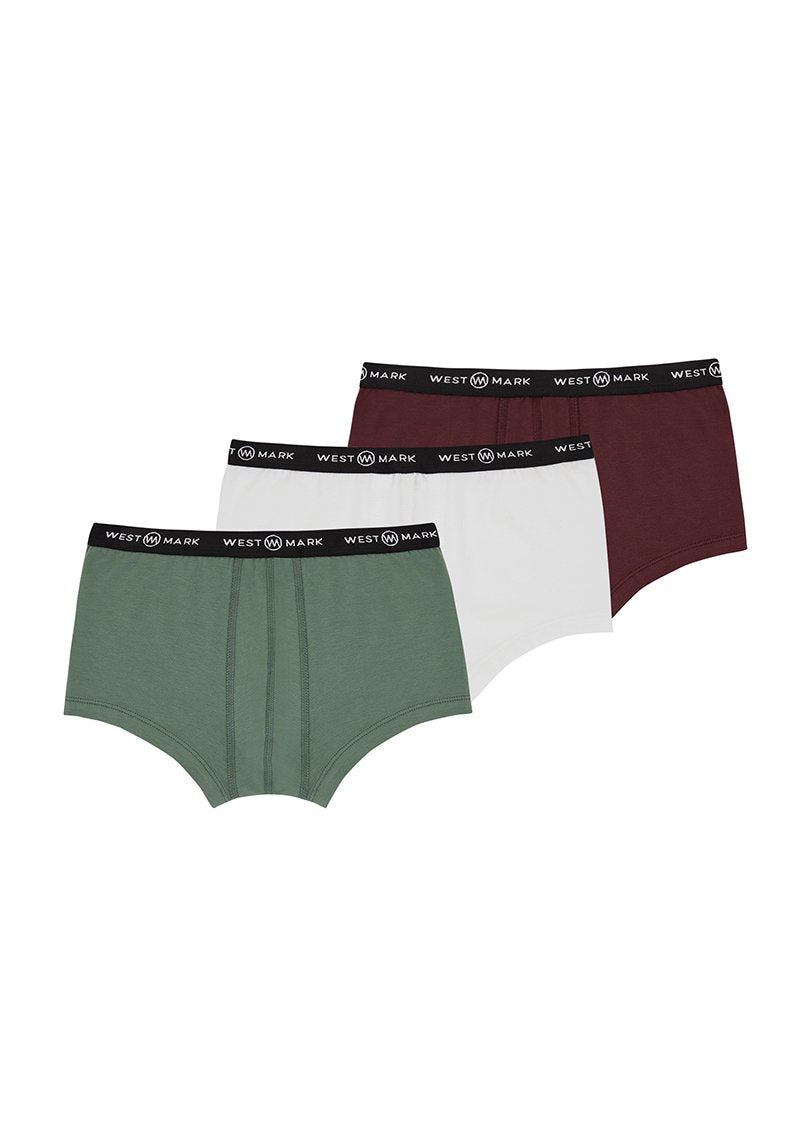 CHRISTMAS TRUNK 3-PACK